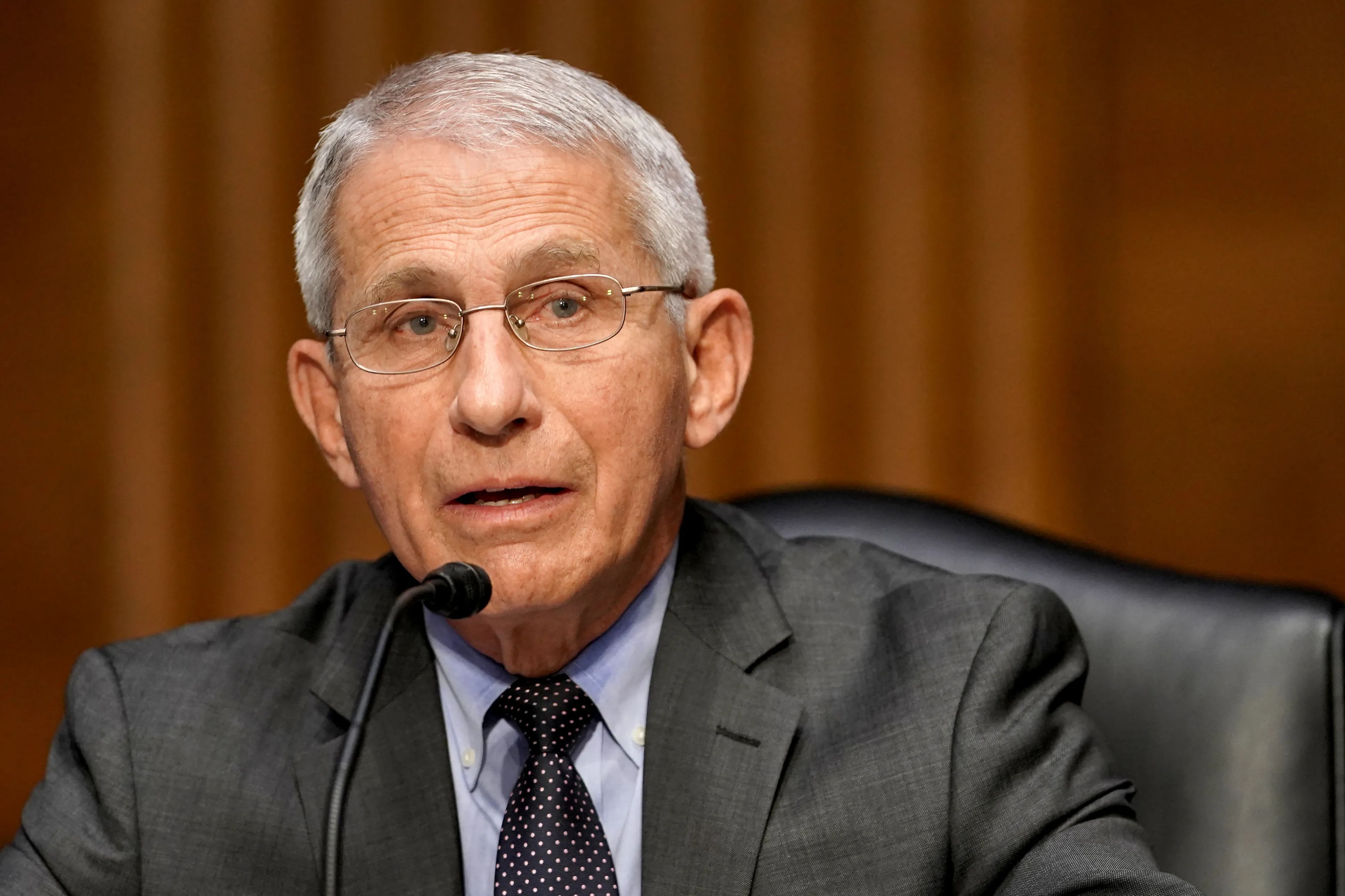Anthony Fauci speaks in Congress.