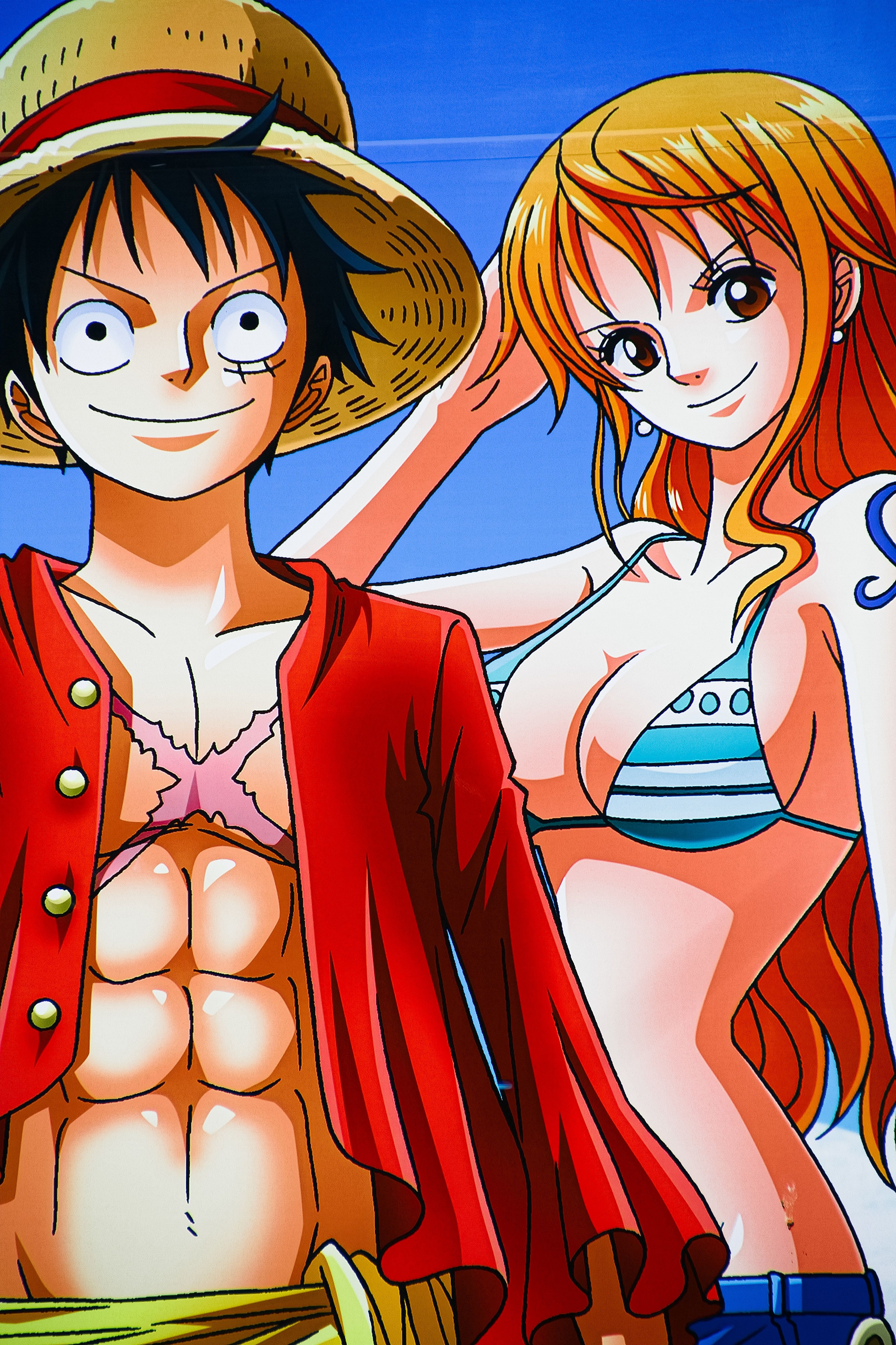 Luffy and Nami posing together