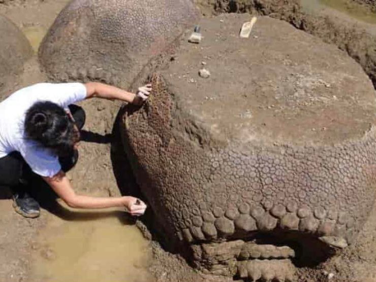 18 Giant Finds To Blow Your Mind - ancient giant roblox