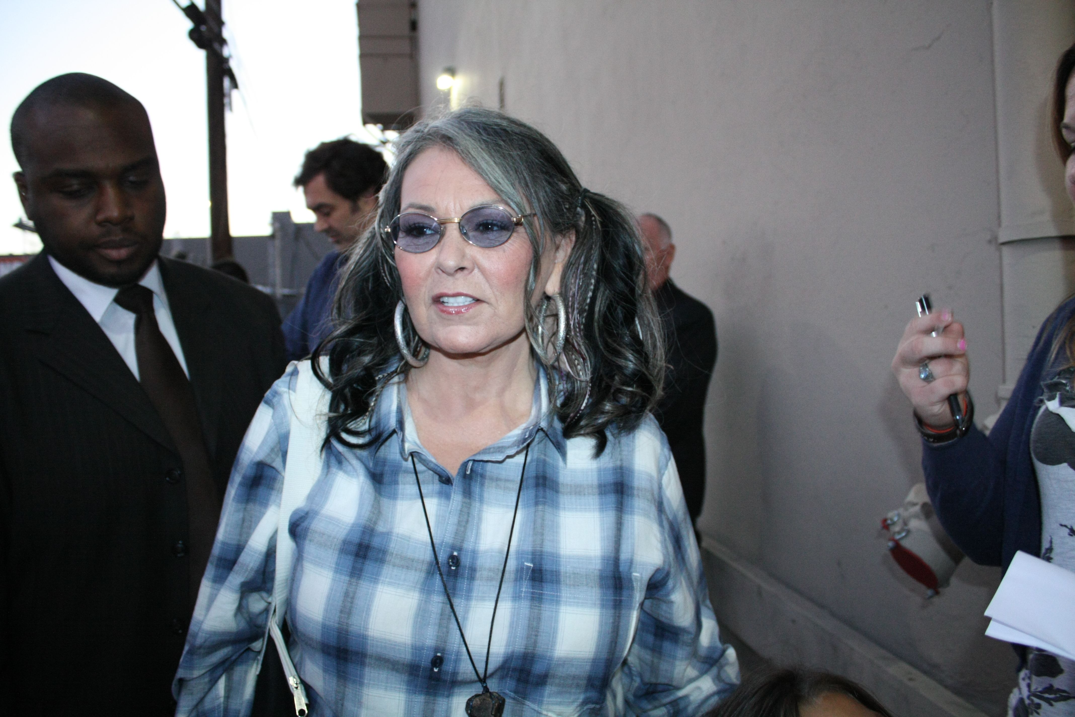 Roseanne Barr wears pigtails and plaid shirt during public outing. 