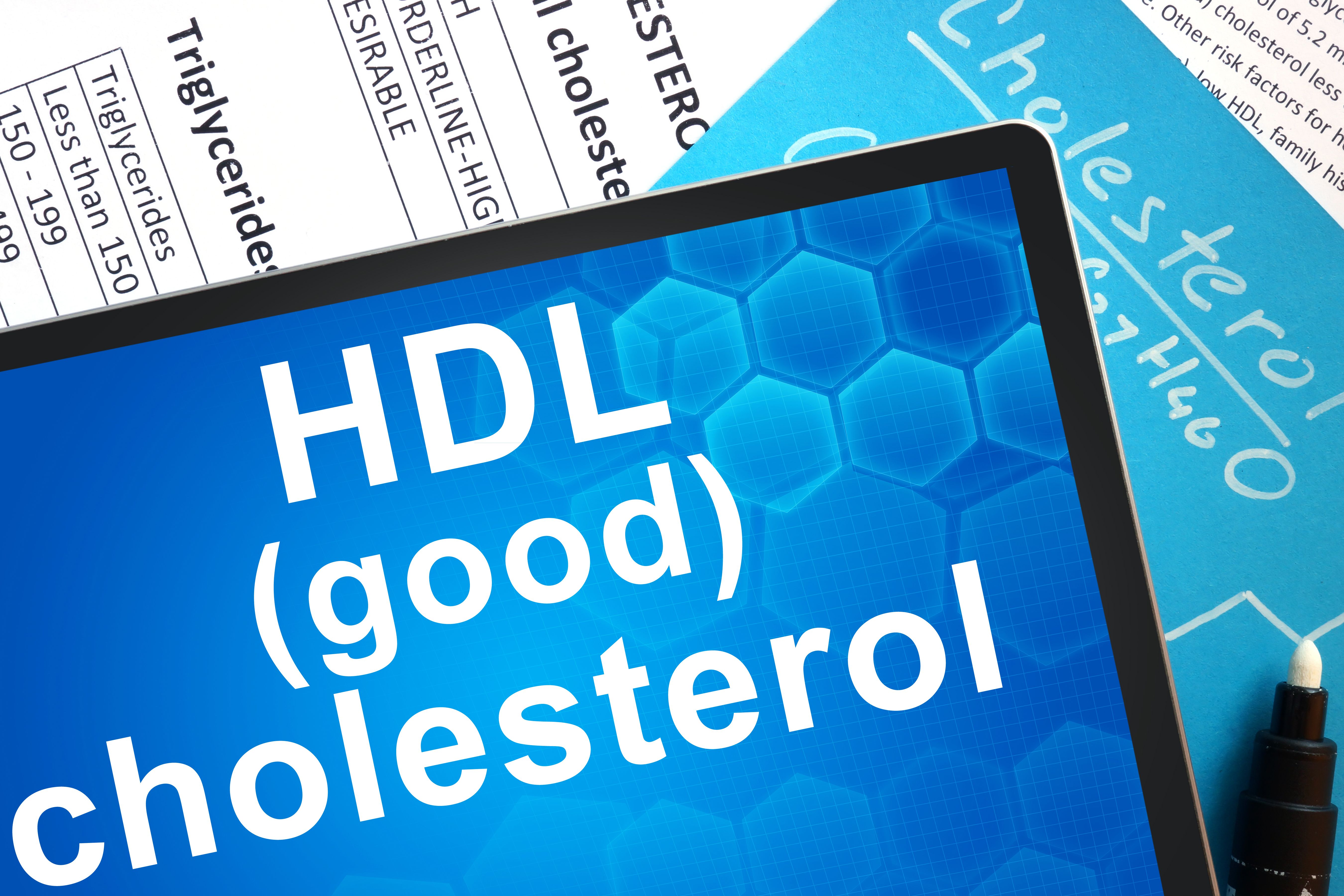 HDL cholesterol illustration in medical charts. 