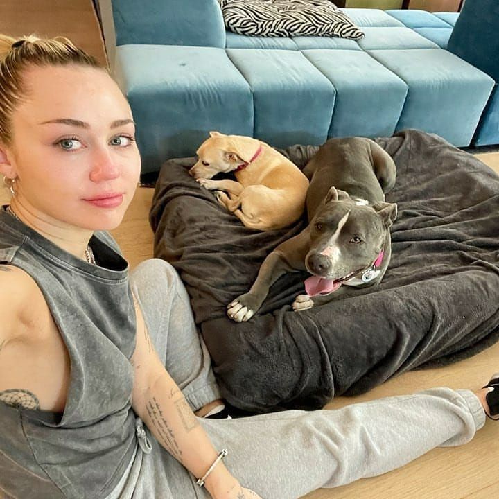 Miley Cyrus hangs with her dogs