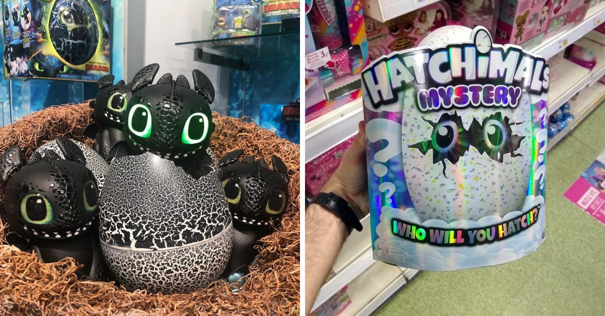 hatching toothless hatchimal