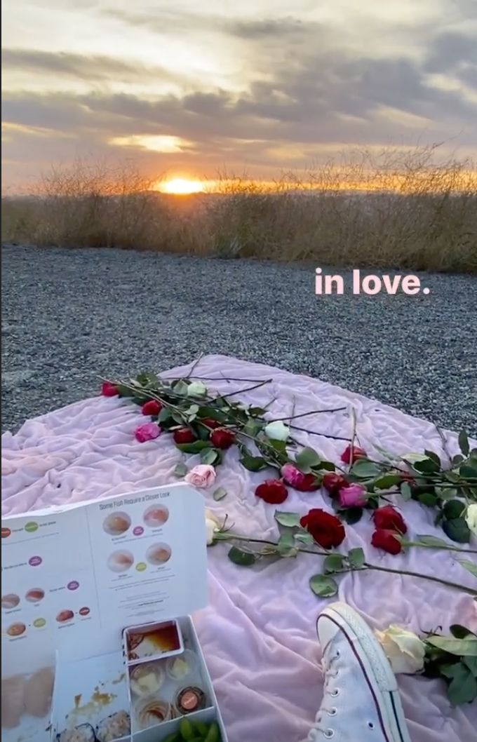A romantic picnic between Machine Gun Kelly and Megan Fox