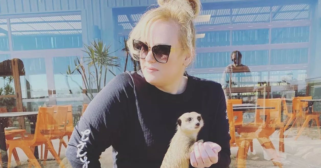 Rebel Wilson STUNS With Weight Loss While Kissing Instagram Goodbye! - The Blast