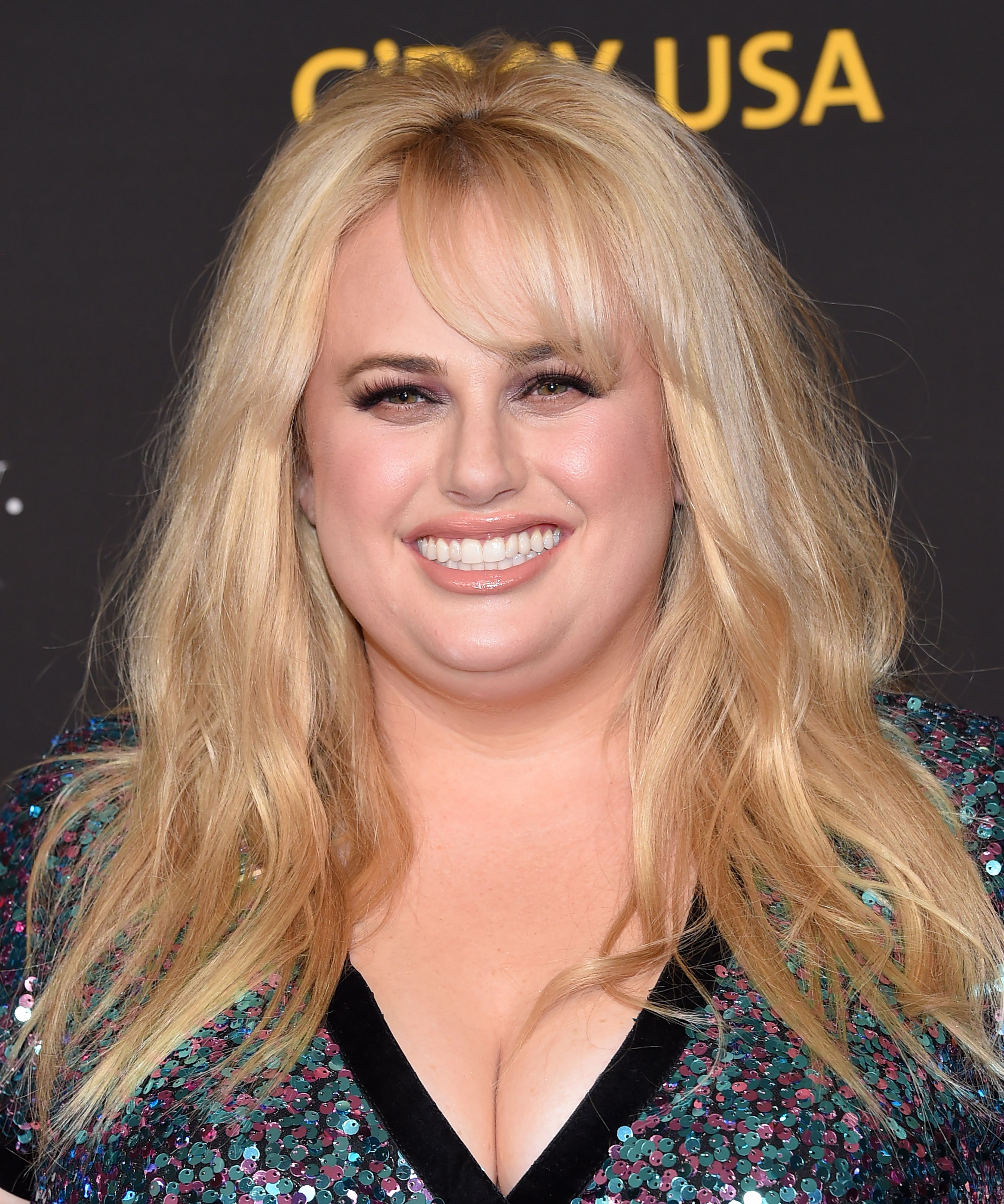 Is This Really The Popular 'Pitch Perfect' Actress Rebel Wilson?