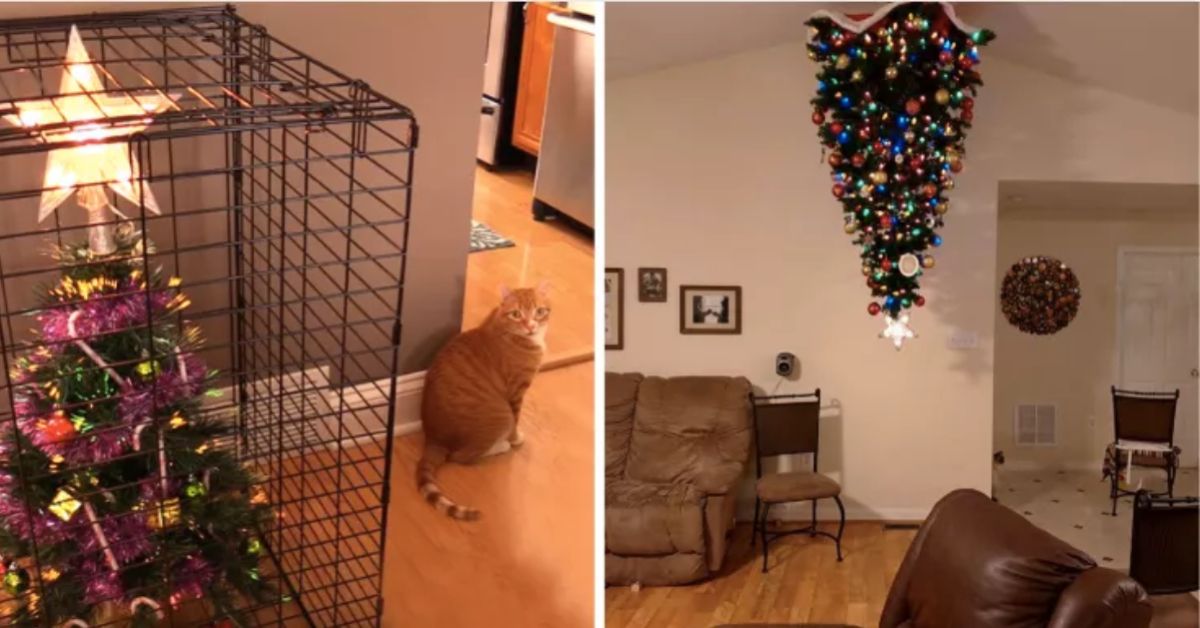 7+ Pet Owners Who Found Creative Ways To Protect Their Christmas Trees