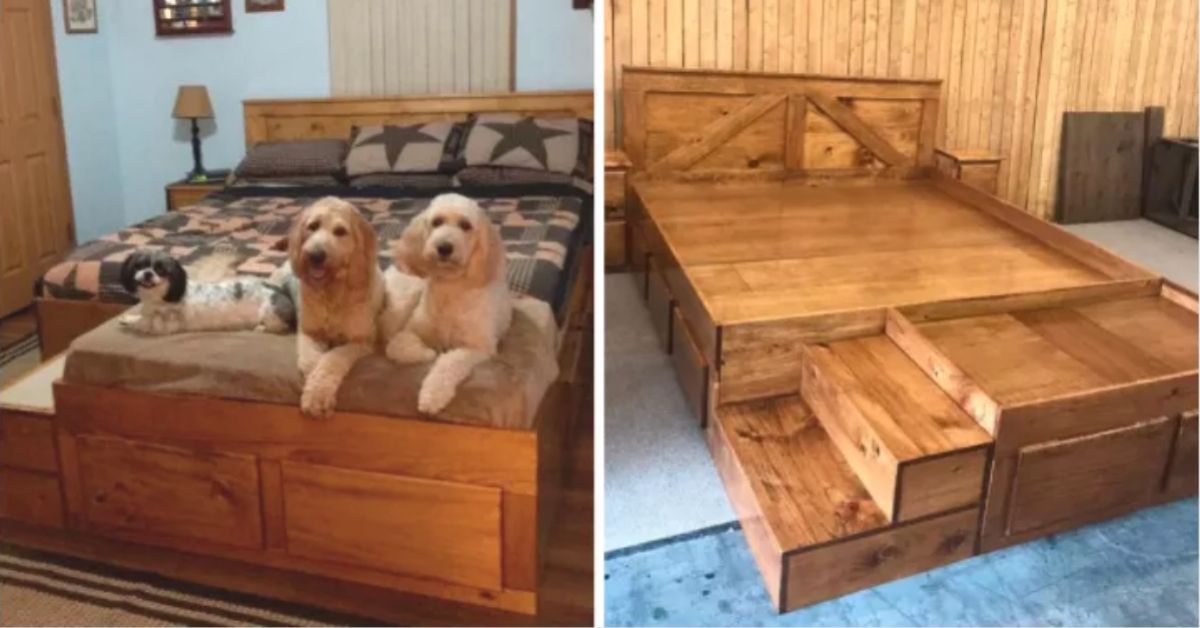 Company Makes Custom Wooden Bed Frames With A Built-In Dog Bed