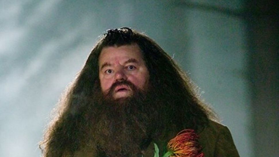 Bizarre Theory Suggests Hagrid Was Actually A Death Eater In Harry Potter