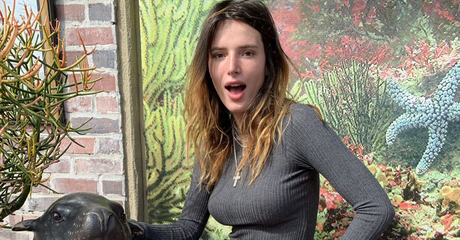 Bella Thorne Posts Her Own Nudes After Hacker Threatens To 