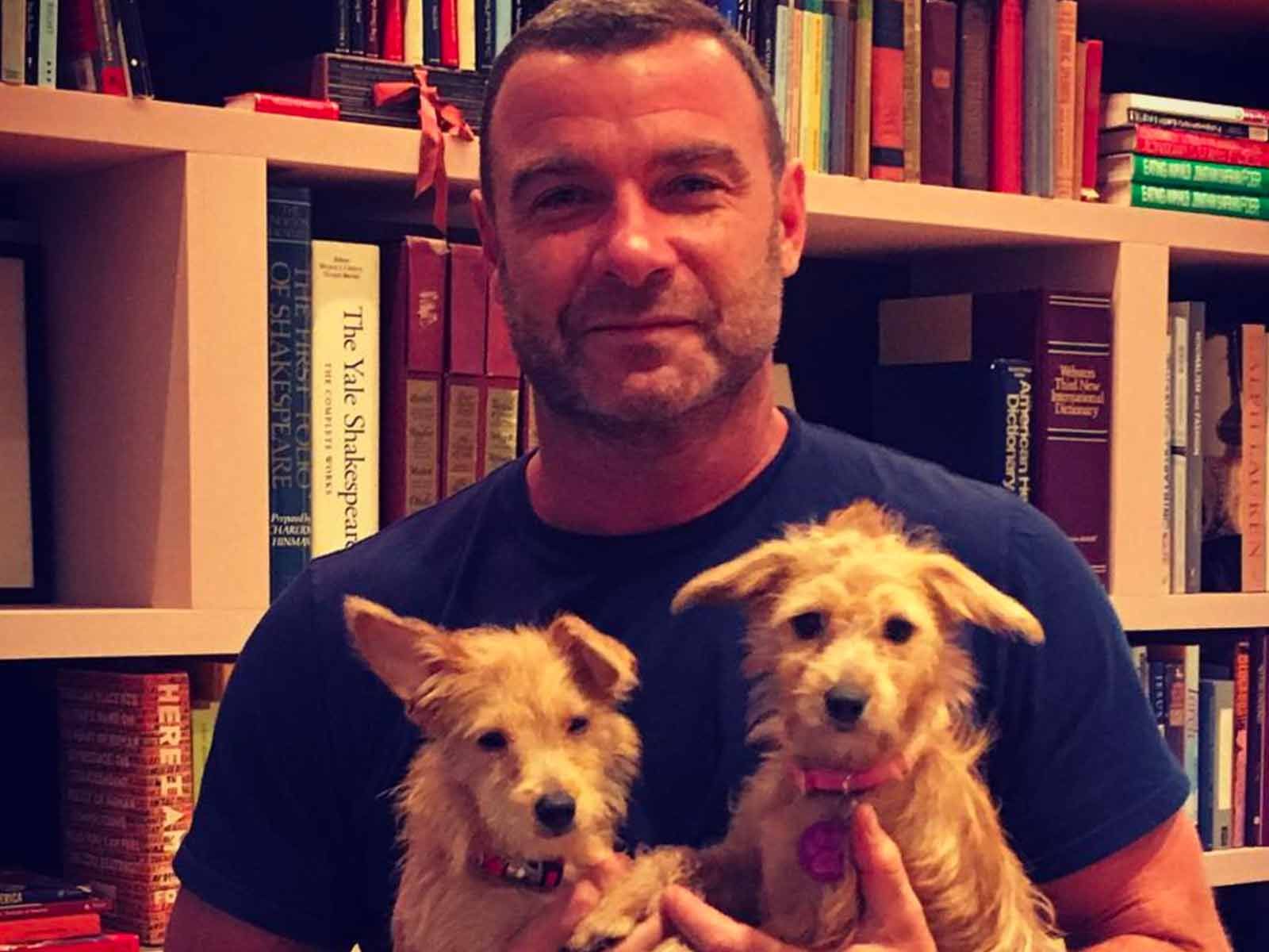Liev Schreiber Adopts Adorable Hurricane Harvey Dogs1600 x 1200