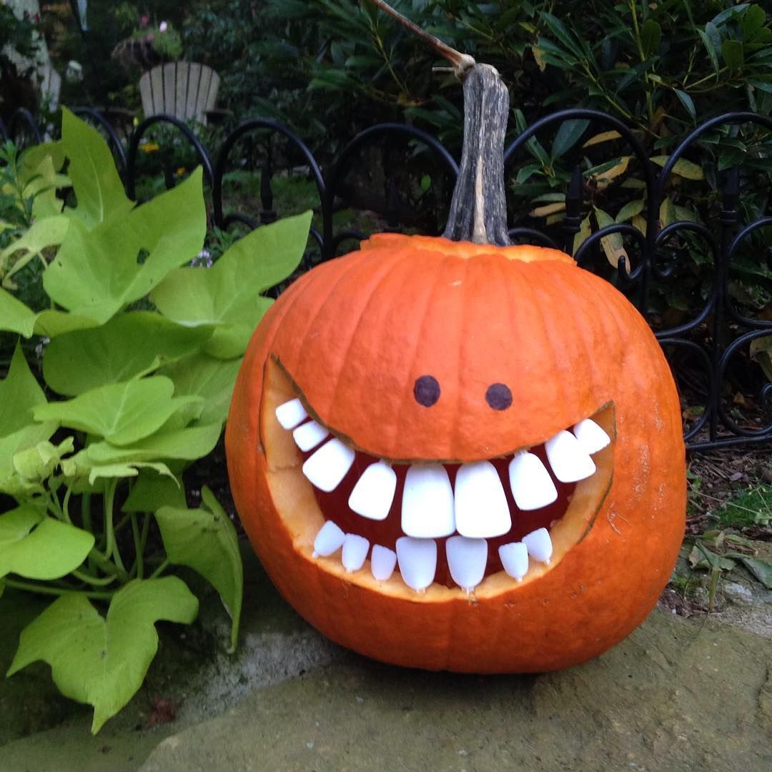 Sit Back, Relax, And Sink These Pumpkin Teeth Right Into Your Jack-O ...
