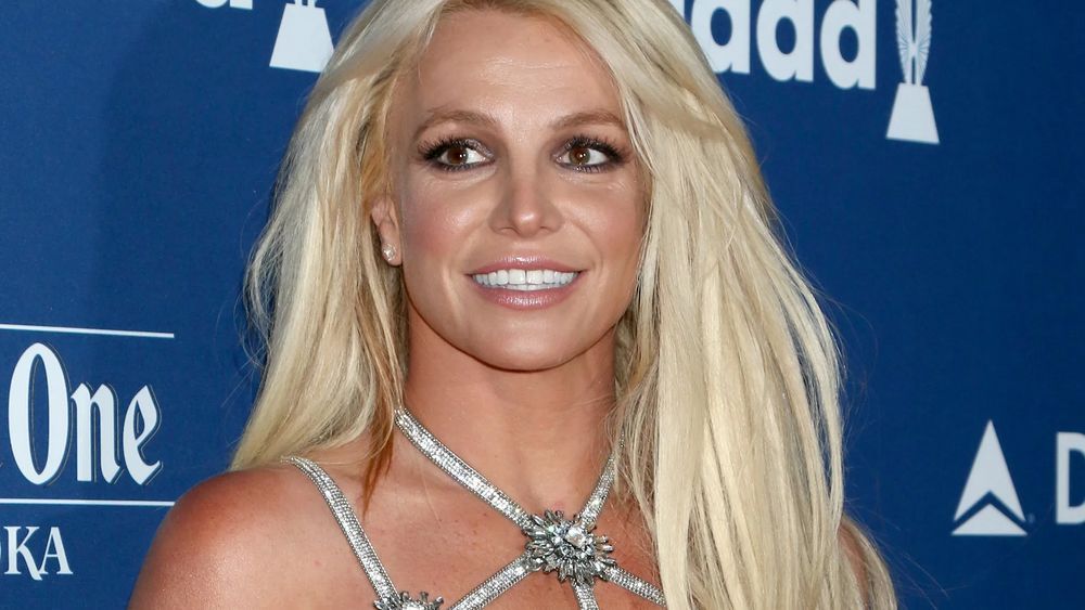 Britney Spears In Her Grandmother's Bathing Suit Sparks Mental Health Fears