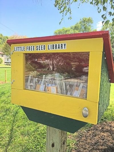 People Are Making Little Free Seed Libraries So Everyone Can Get In On ...