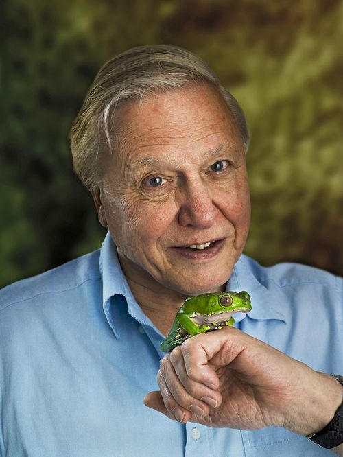 Earth' Narrator Sir David Attenborough Receives Lifetime